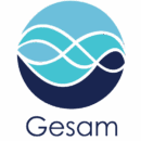 cropped cropped cropped logo gesam.png